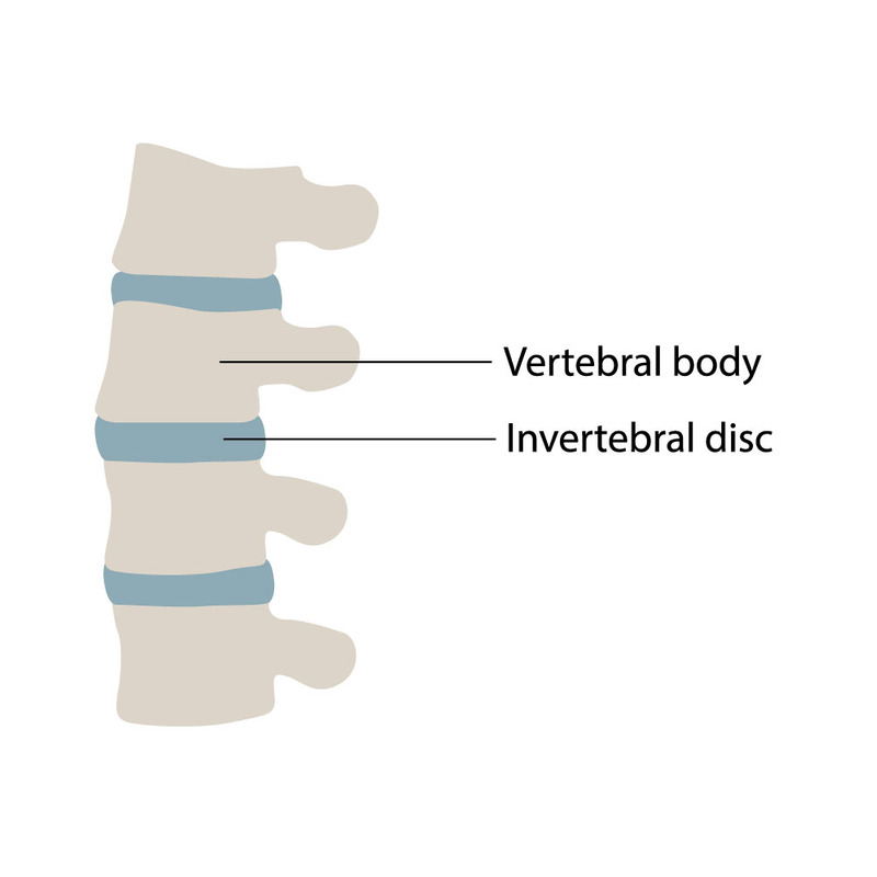 Icono de quiropráctica, fisioterapia y osteopatía para el cuidado moderno de la columna vertebral - Características Imagen 1