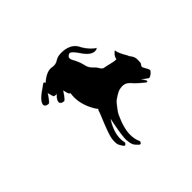 Tamhund hoppar. Vektor hundraser - Features Image 1