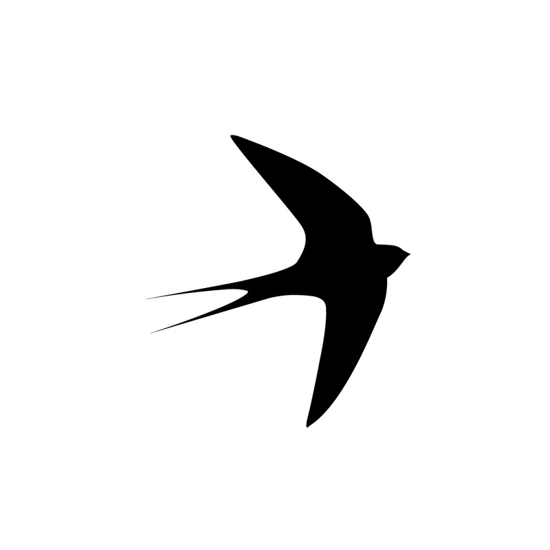 Svälja fågel eller swiftlet siluett svart isolerade - Features Image 1