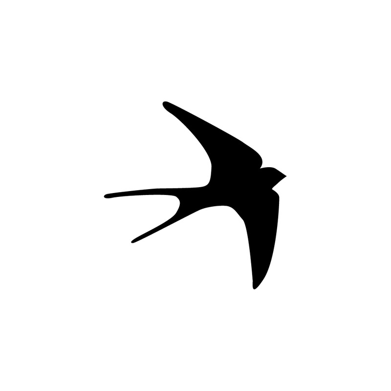 Silhouette d'hirondelle en vol isolée sur fond blanc pur - Caractéristiques de l’image 1