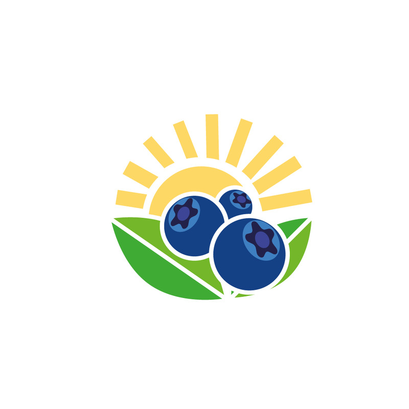 Logo dell'icona del frutto del mirtillo - Caratteristiche Immagine 1