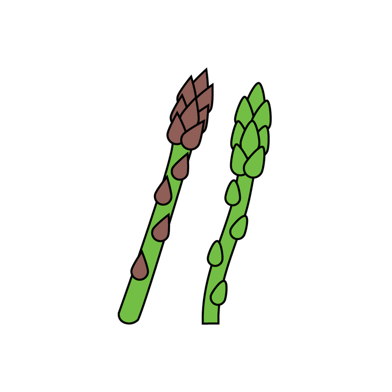 Set di illustrazioni vettoriali monolinea di asparagi disegnate a mano - Caratteristiche Immagine 1