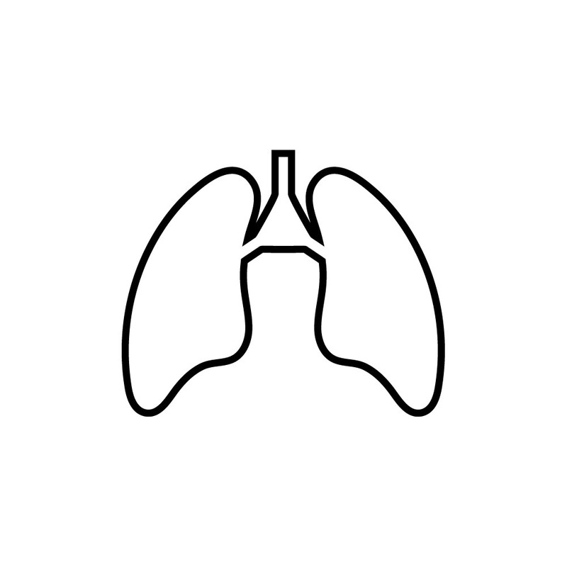 Szczegółowa ikona ludzkich płuc dla projektu medycznego w formie izolowanego wektora - Obraz funkcji 1