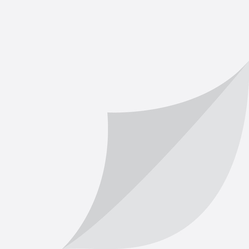 Paper Curl Corner Lift with Shadow Effect - Features Image 1