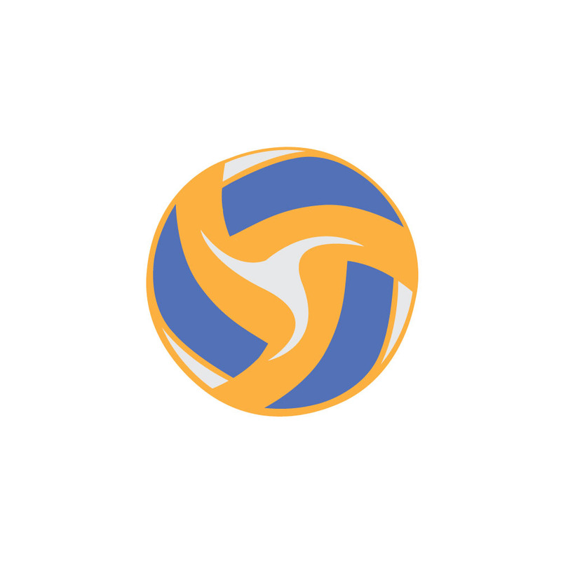 Volleyball Ball Vector Illustration Isolated on White - Features Image 1