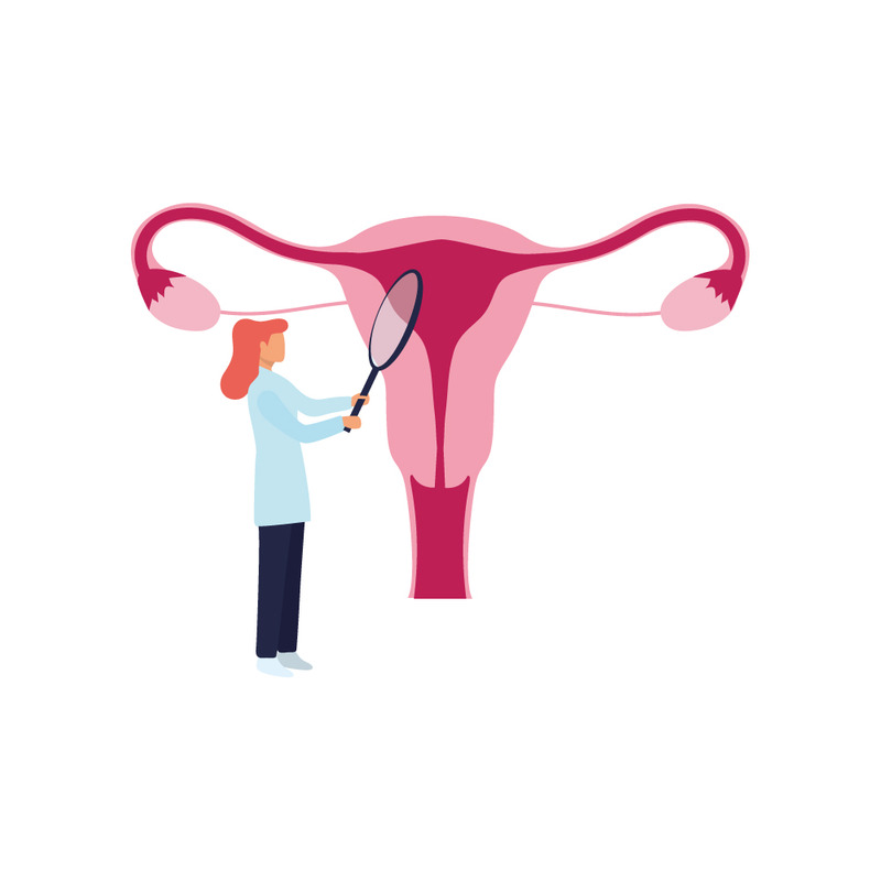 Female Gynecologist Tracking Menstrual Cycle Reproductive System Illustration - Features Image 1