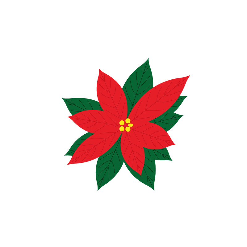 Una semplice illustrazione di una stella di Natale - Caratteristiche Immagine 1
