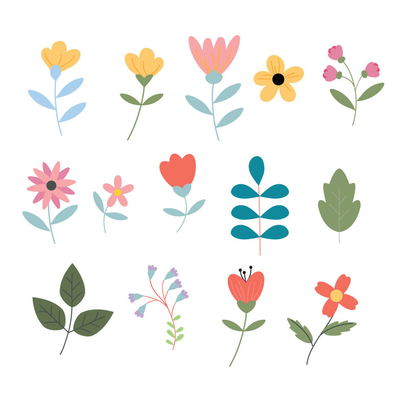 Colección floral de primavera y verano dibujada a mano con flores silvestres y hojas. - Características Imagen 1