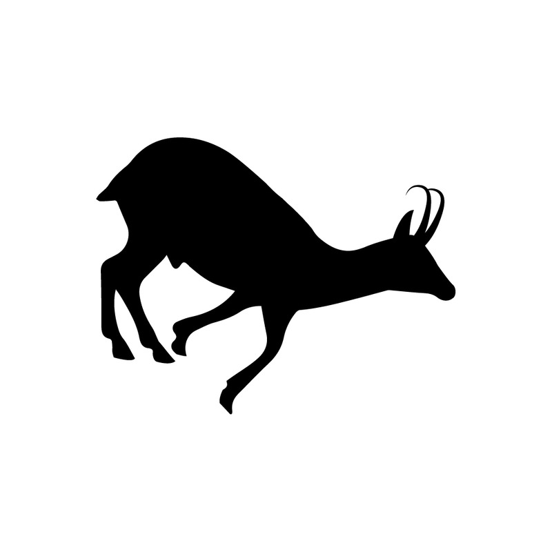 Majestic Chamois Silhouette Descending Alpine Mountain Slope - Features Image 1