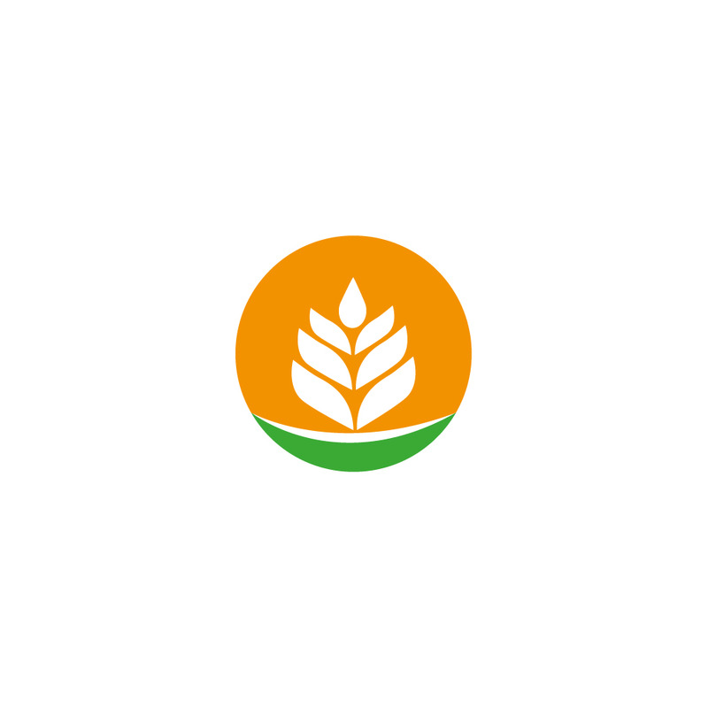 Símbolo de icono de concepto de logotipo de trigo de grano - Características Imagen 1