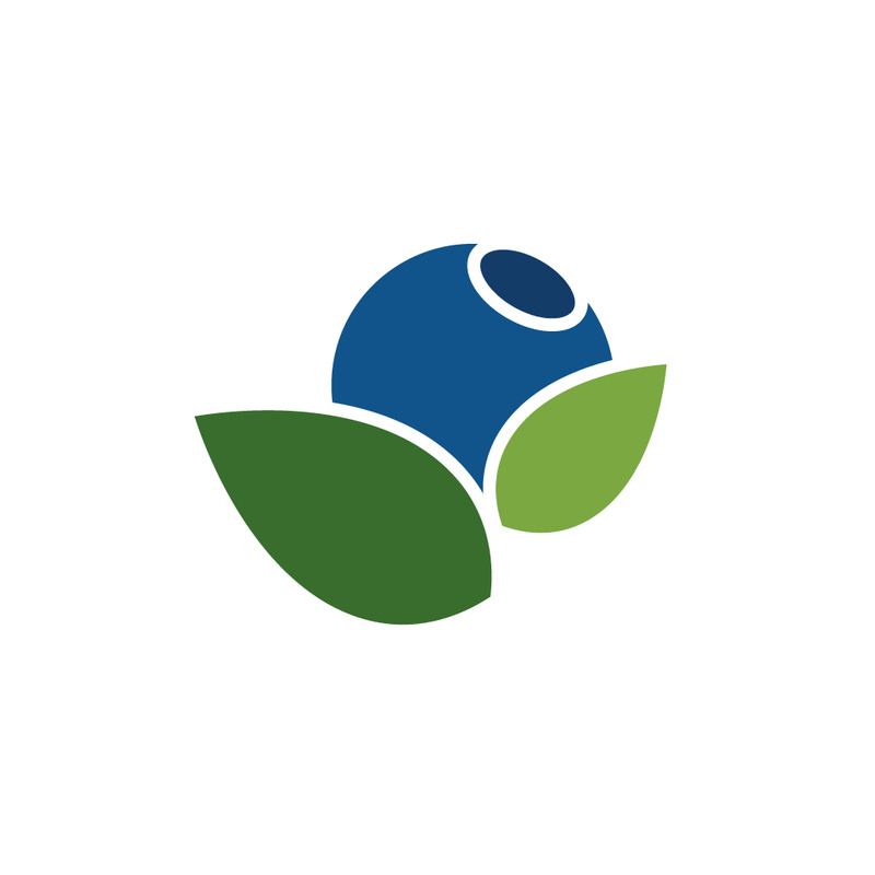 Vector de diseños de logotipos de frutas de arándanos - Características Imagen 1