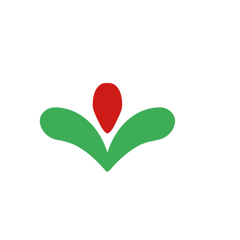 Czerwona jagoda z logo liści - Obraz funkcji 1