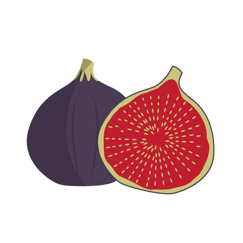 Fresh Ripe Figs Fruit Illustration Flat Style Isolated - Features Image 1