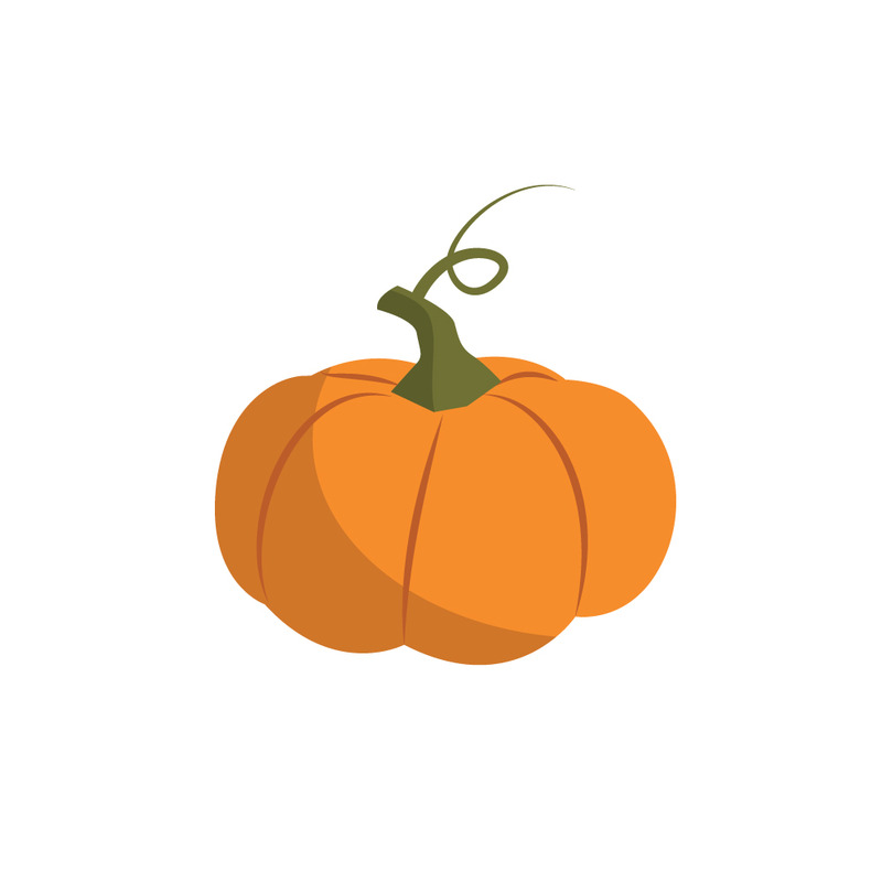 Realistic Orange Pumpkin with Shadow Illustration - Features Image 1