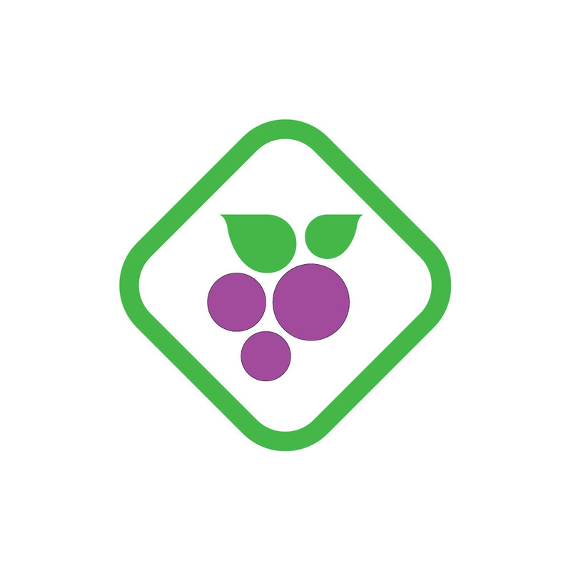 Grapes Logo Icon isolated. Organic Wine branding . Nature Grapes Logotype - Features Image 1