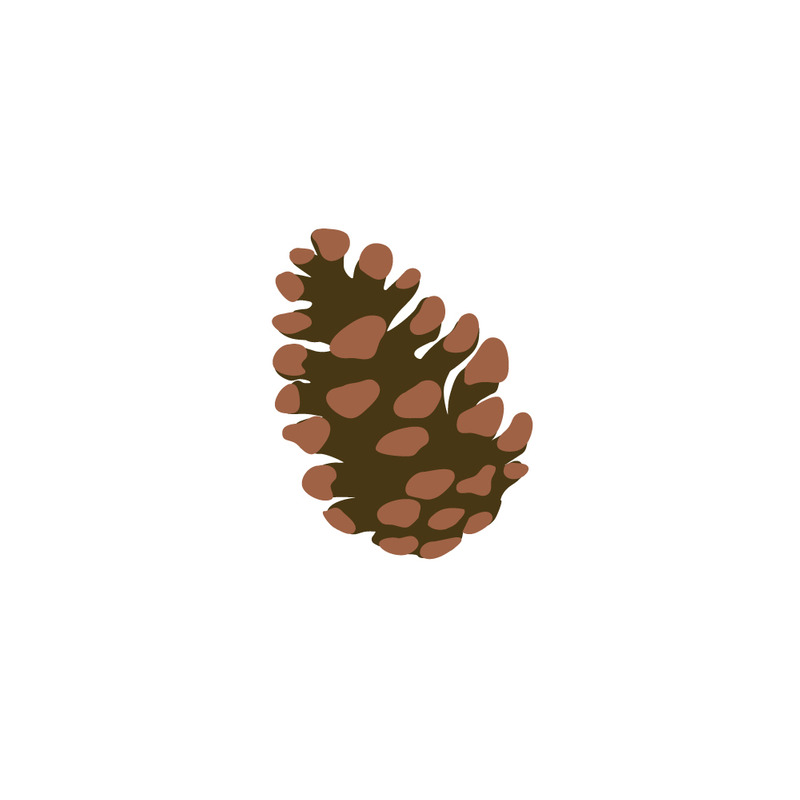 Realistic Pine Cone Vector Illustration Isolated on White - Features Image 1