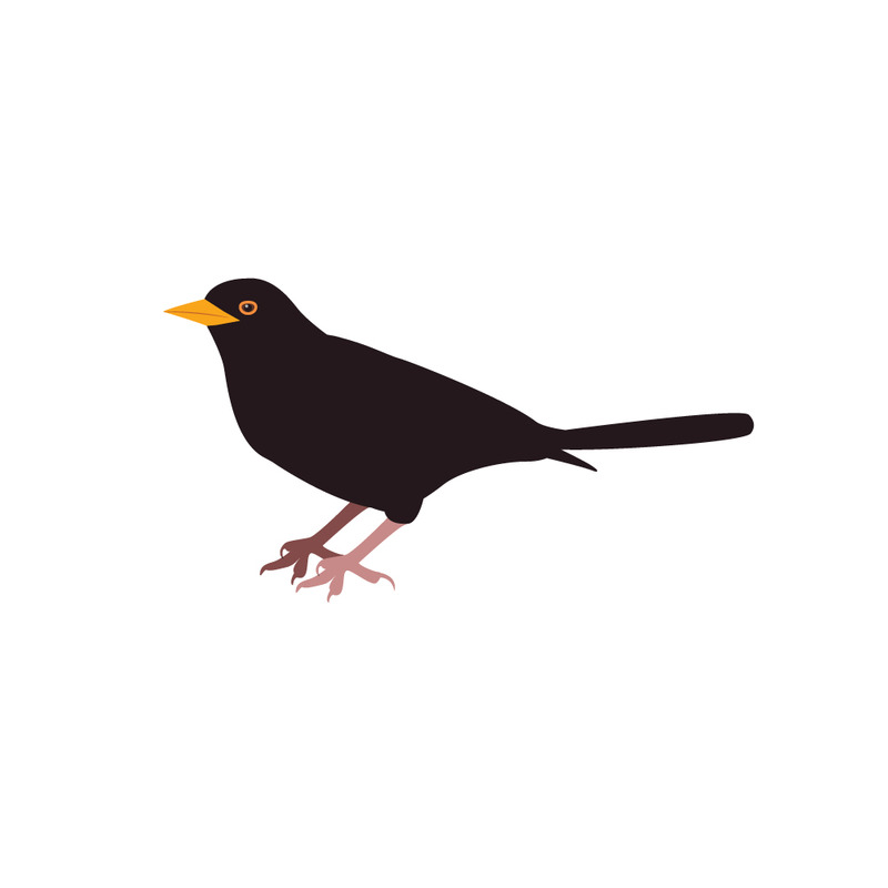 Whimsical Blackbird Vector Illustration for Kids Design Projects - Features Image 1
