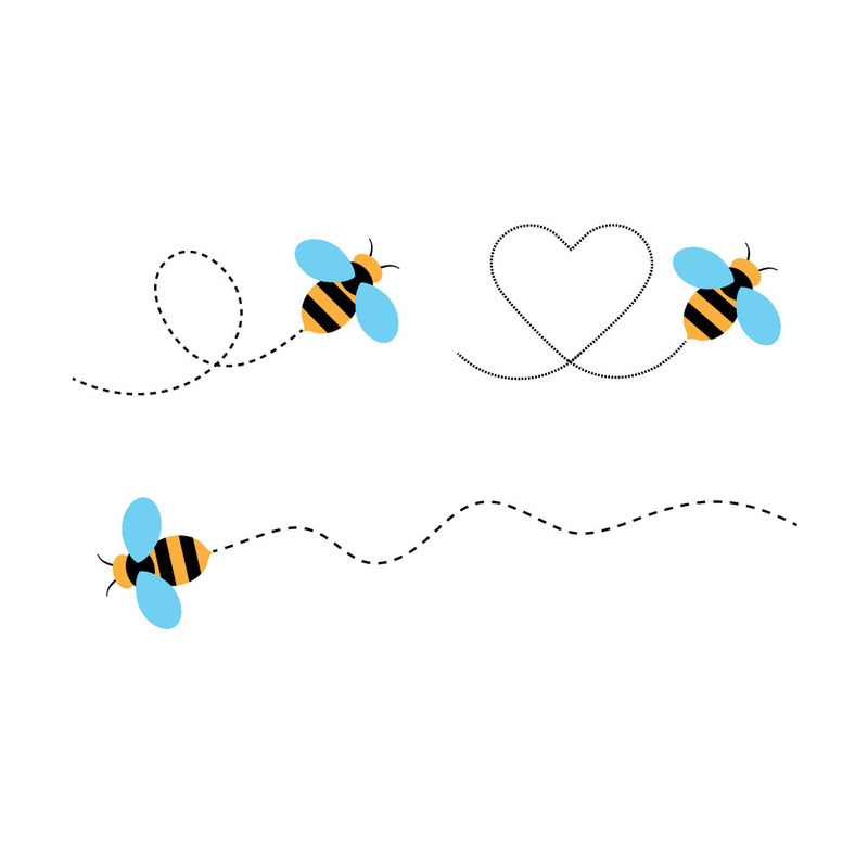 Bienenflugspur mit gestrichelten Pfadlinien Vektorset - Eigenschaften Bild 1