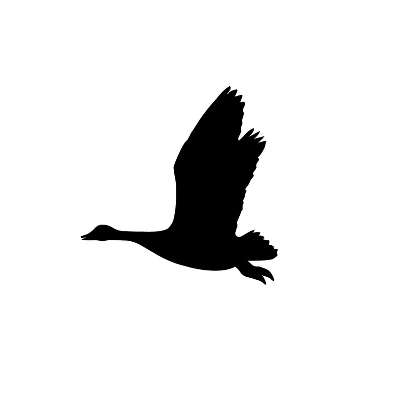 Létající husa černá silueta - Features Image 1
