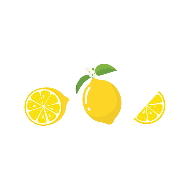 Illustration vectorielle d'une tranche de citron plate et vibrante pour le design - Caractéristiques de l’image 1