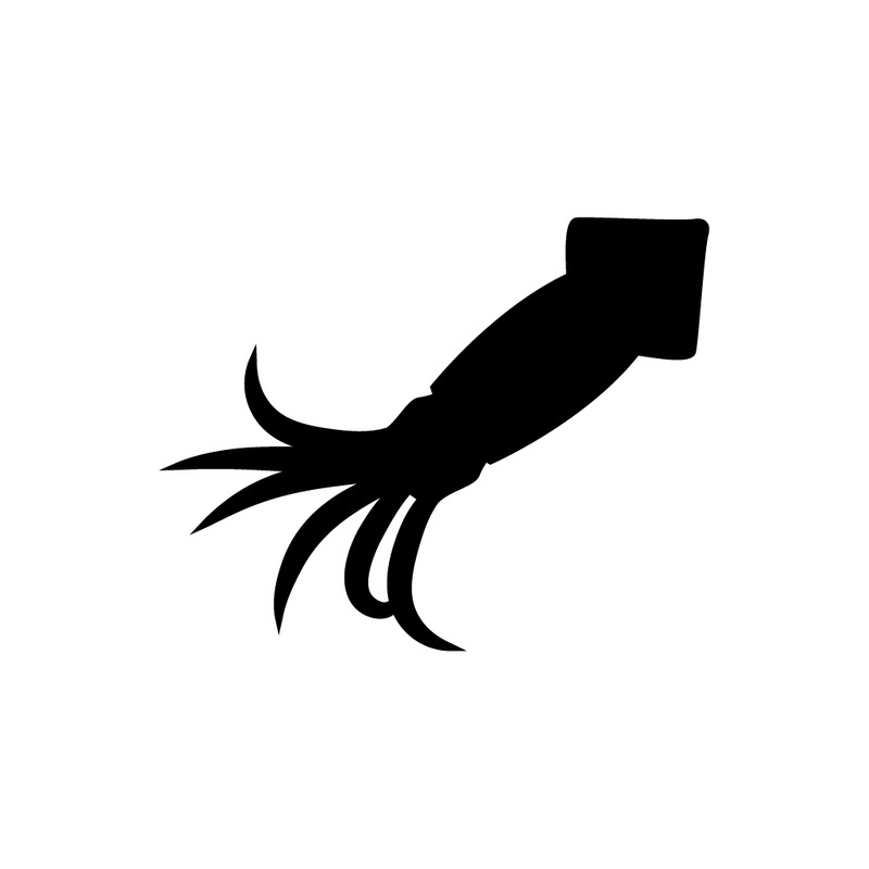 Squid solid icon, korean octopus squid - Features Image 1