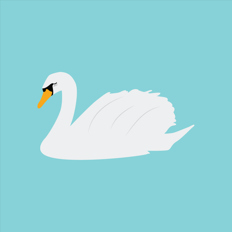 Ilustración vectorial de un lindo icono de cisne: elegante símbolo de ave acuática para el diseño de la naturaleza y la vida silvestre. - Características Imagen 1