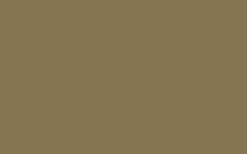 Solid Color Vector Background Images | Premium High Quality Background Design - Features Image 1