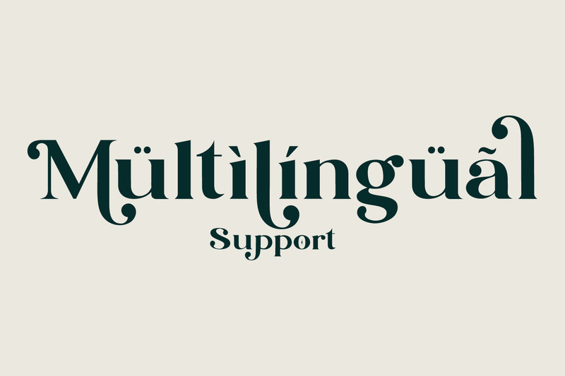 Blue Village – Modern / Vintage Serif Font - Features Image 7