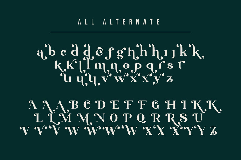 Blue Village – Modern / Vintage Serif Font - Features Image 10