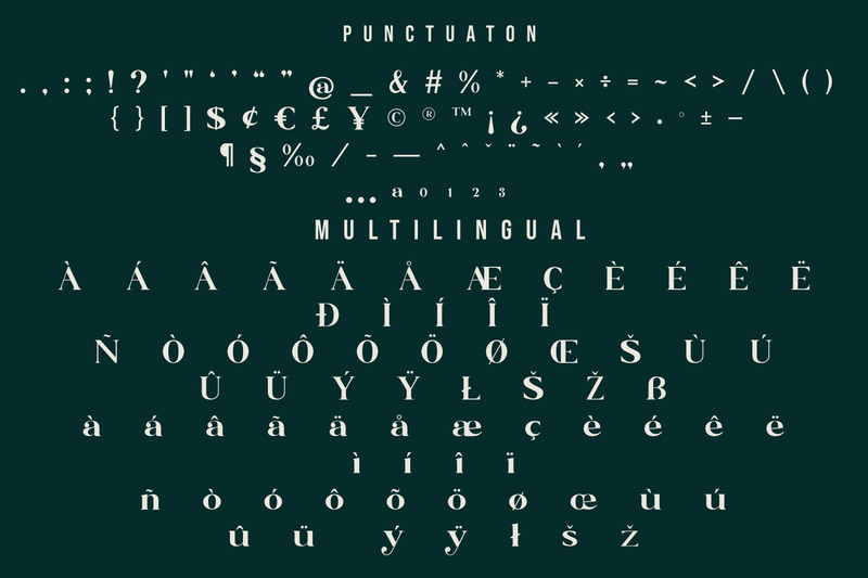 Blue Village – Modern / Vintage Serif Font - Features Image 9
