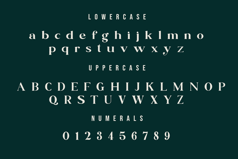 Blue Village – Modern / Vintage Serif Font - Features Image 8