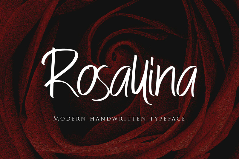 Rosallina - Modern Script fonts - Features Image 1