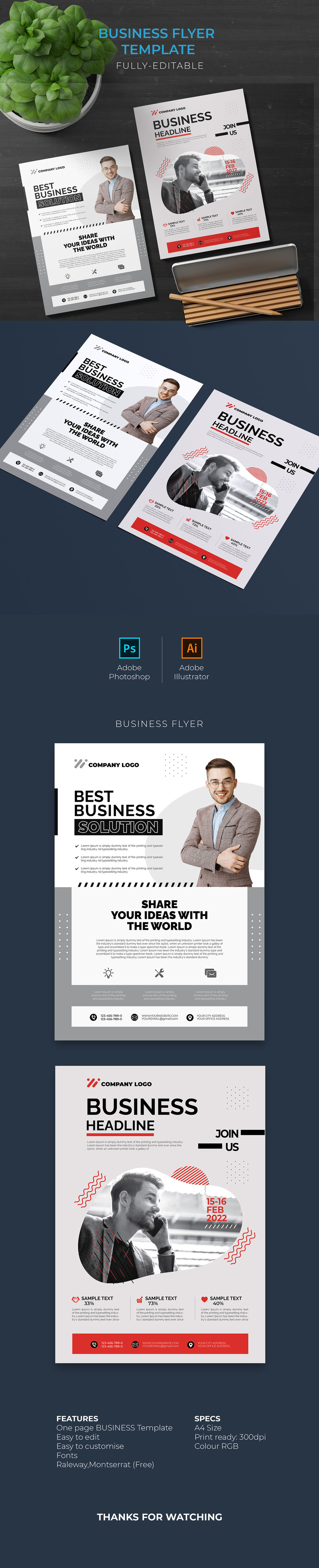 Профессиональный бизнес-флаер V3 - Features Image 1