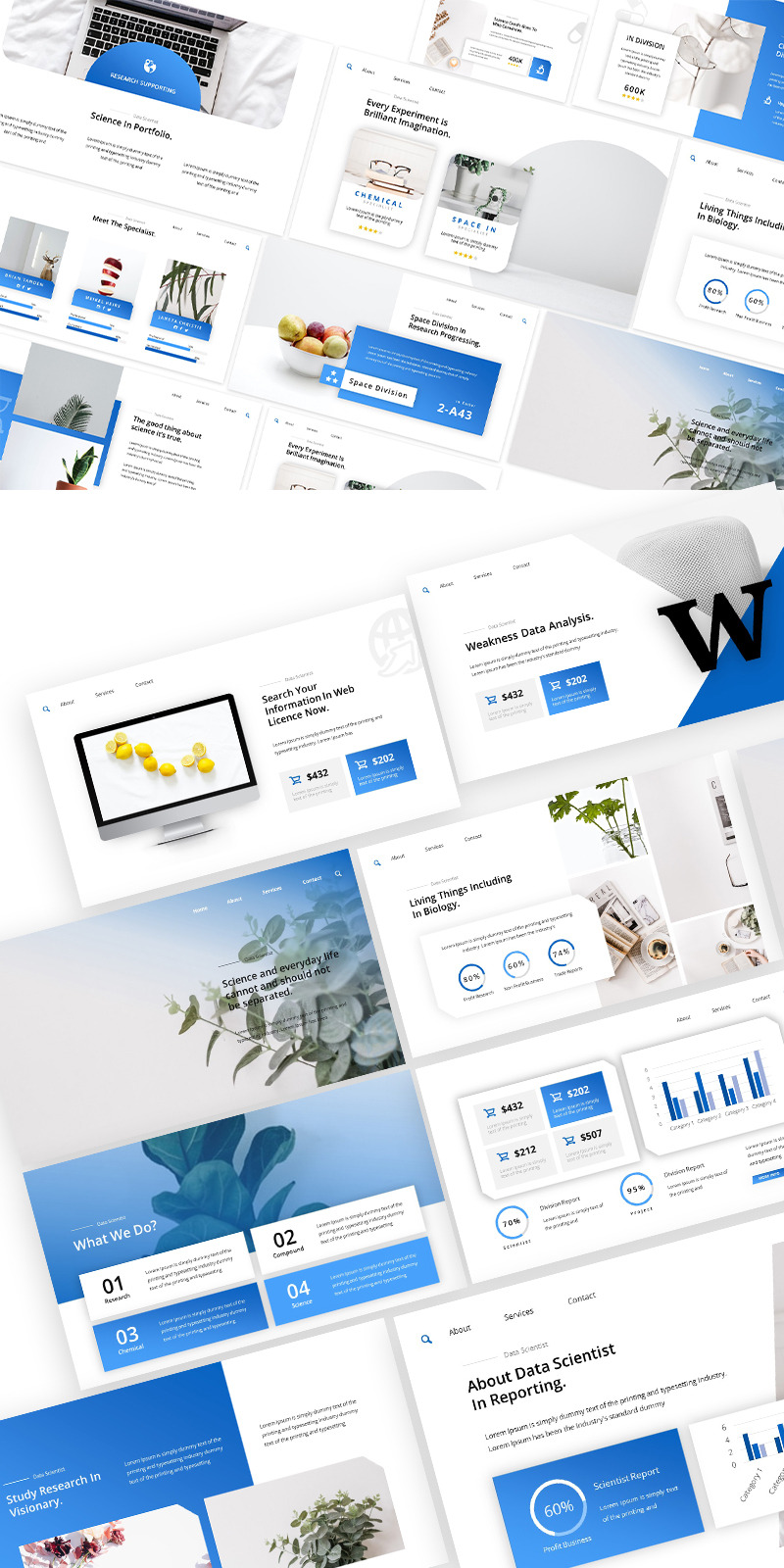 World Data Scientist Powerpoint Template - Features Image 1