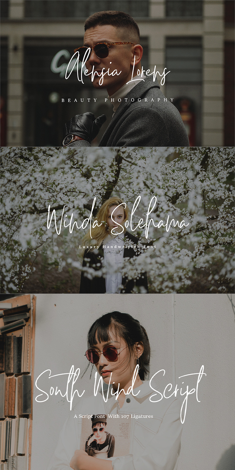 Rain South Wind Script Font - Features Image 1