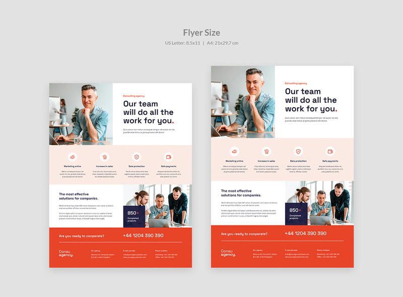 Consulting Agency Flyer Template - Features Image 4