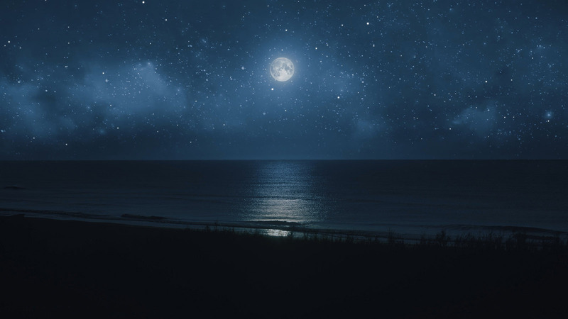 Ocean At Night Logo Reveal - Features Image 3