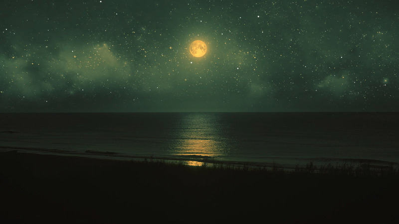 Ocean At Night Logo Reveal - Features Image 5