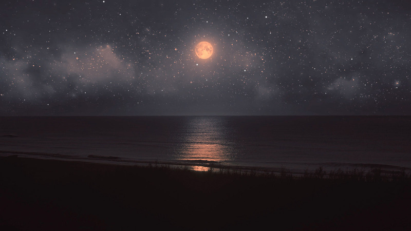 Ocean At Night Logo Reveal - Features Image 4