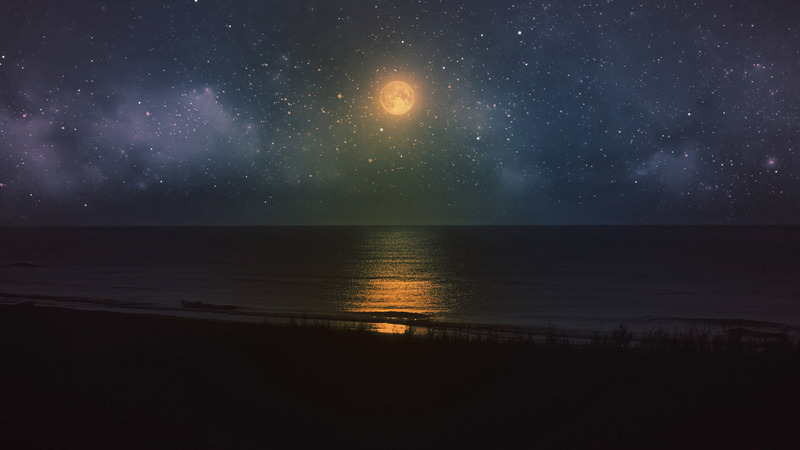 Ocean At Night Logo Reveal - Features Image 2