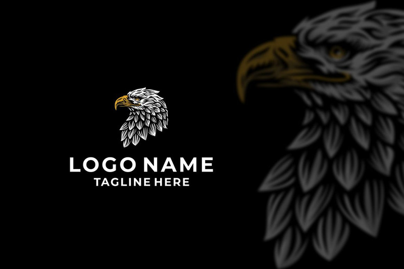 Design grafico del logo della testa di procione - Caratteristiche Immagine 1