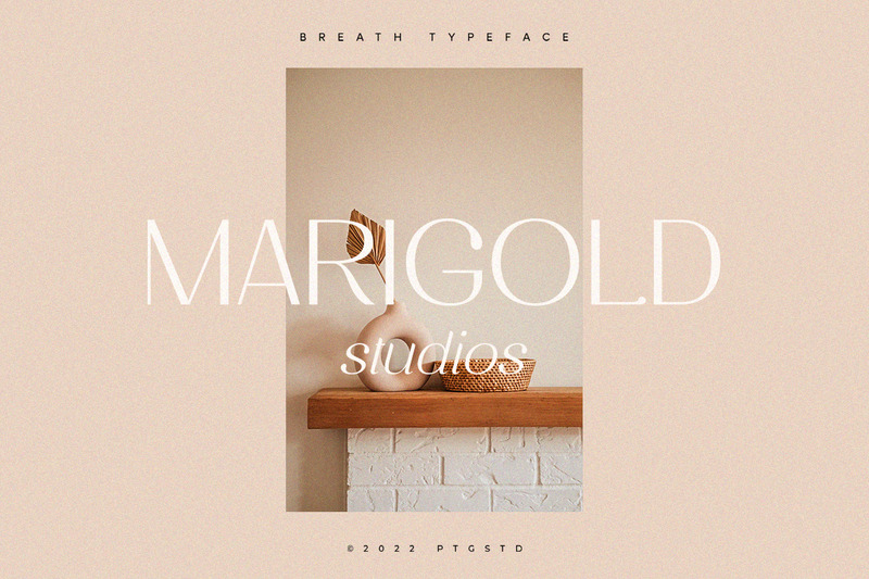 Breath | Modern Ligature Serif Font - Features Image 6