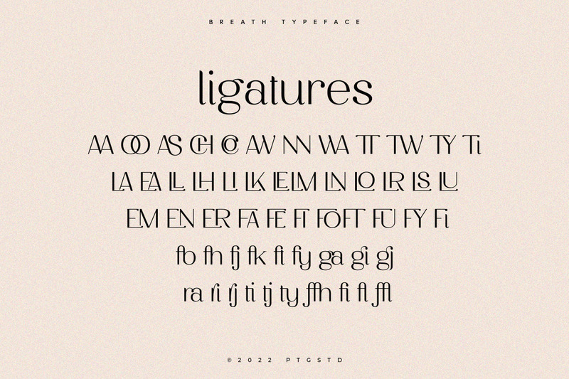 Breath | Modern Ligature Serif Font - Features Image 10