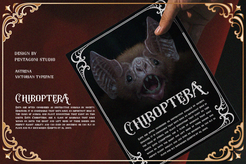 Астрена | Шрифт відображення шрифту - Features Image 9