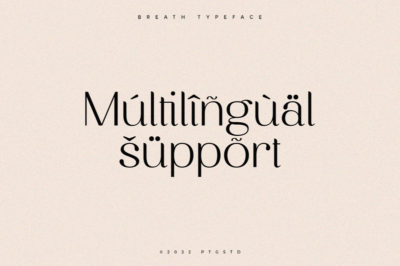 Breath | Modern Ligature Serif Font - Features Image 8