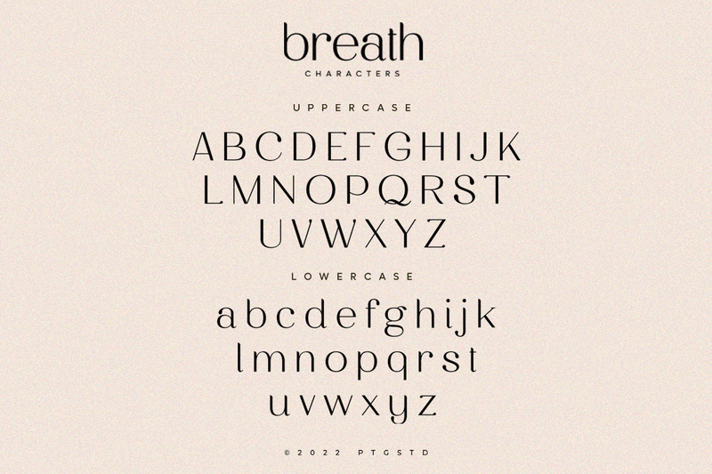 Breath | Modern Ligature Serif Font - Features Image 9