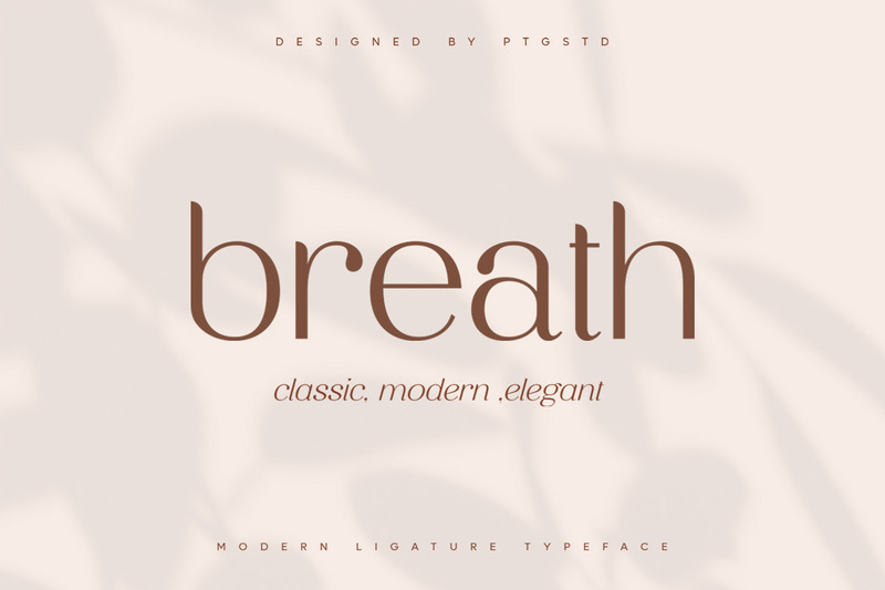 Breath | Modern Ligature Serif Font - Features Image 1