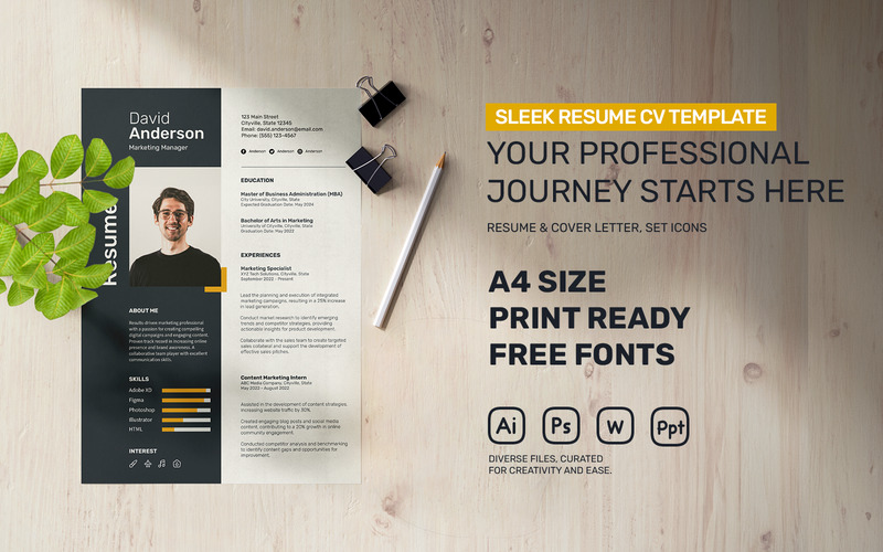 大卫·安德森创意简历 - Features Image 1