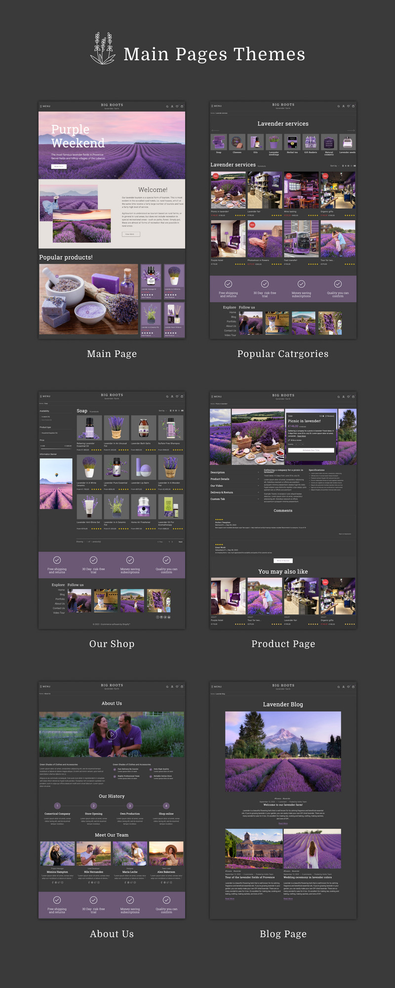 Big Root - Floristería, Decoración, Flores, Regalos Celebraciones, Arte Tienda Shopify 2.0 - Características Imagen 2