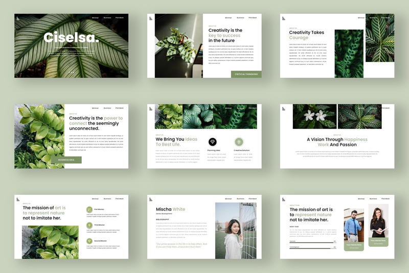 Ciselsa - Шаблон бизнес-презентации PowerPoint PPT - Features Image 1